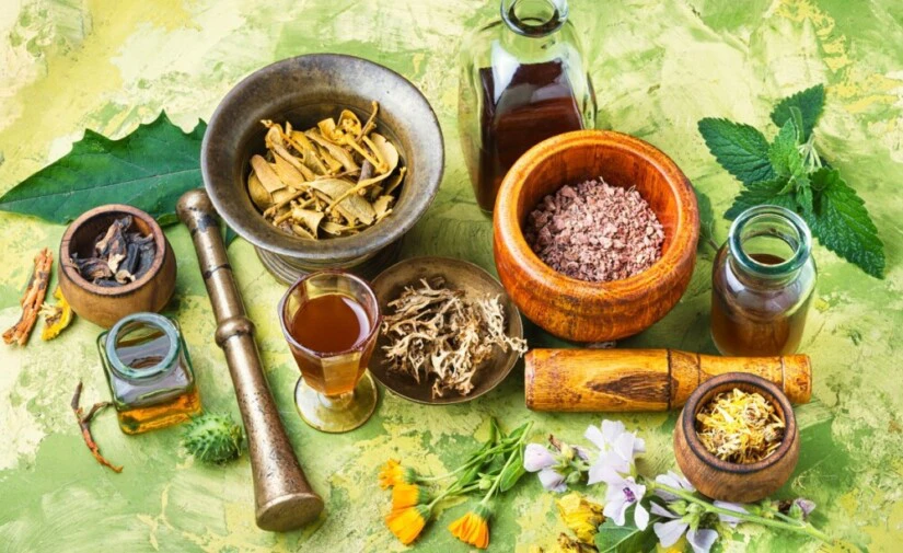 10022216444579972120628046-825x505-1 Herbal Lokal vs Obat Kimia: Perbandingan Efektivitas dan Keberlanjutan
