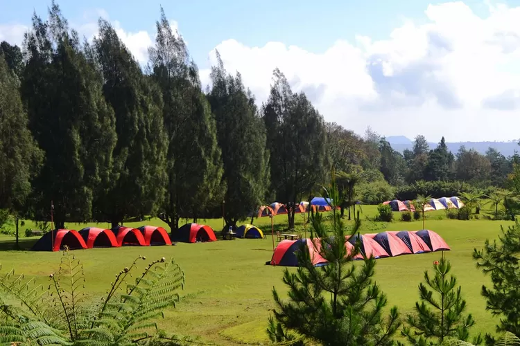 Mandalawangi-Cibodas-Camping-Ground-Tempat-Kemah-Dekat-Gunung-Pangrango-987460554 Hiking di Taman Nasional: Cara Menikmati Alam Tanpa Merusak Ekosistem Lokal