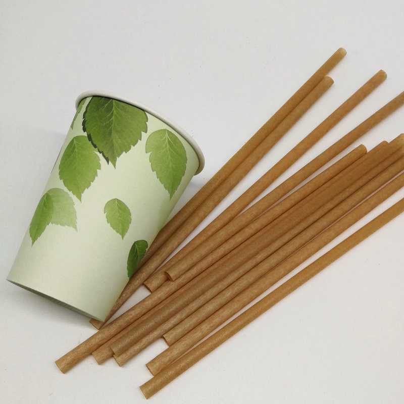 Natural-Green-Earth-Drinkings-Print-Plastic-Straw Produk Ramah Lingkungan yang Laris di E-commerce 2025: Dari Sabun Alami sampai Tas Anyaman Bambu