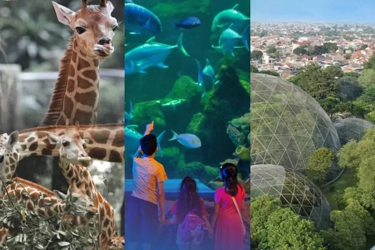 Liburan Edukatif: 7 Wisata Flora dan Fauna Nusantara untuk Keluarga
