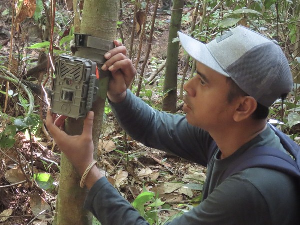 contoh-kegiatan-survei-biodiversitas-dengan-pemasangan-camera-trap-di-lanskap-ikn-1746711073134_43 Teknologi Suara Hutan: Sistem Peringatan Dini untuk Cegah Perburuan Satwa