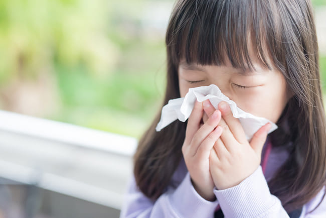 perbedaan-gejala-flu-pada-anak-dengan-covid19 Manfaat Minyak Kayu Putih dari Hutan Maluku untuk Kesehatan Pernapasan